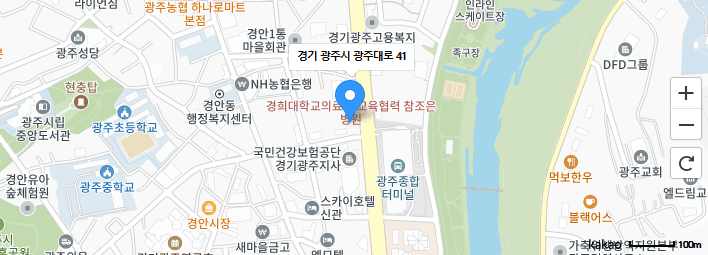임시 위치 안내 지도 이미지